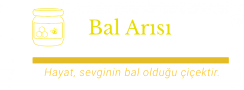 Bal, bal arısı, hakkında tüm bilgiler.